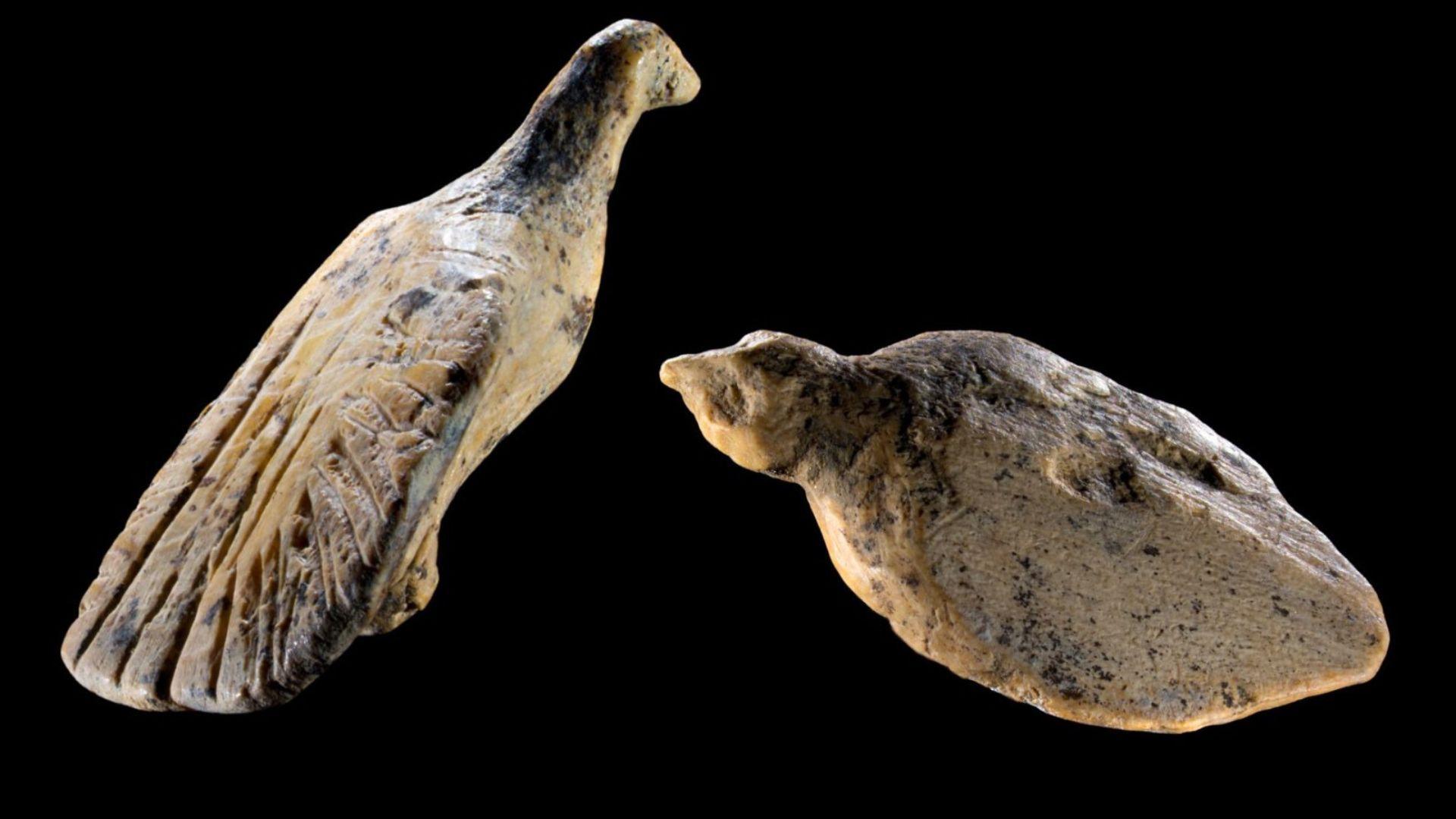 Arqueólogos apresentam os menores pássaros da Era do Gelo Arqueólogos apresentam os menores pássaros da Era do Gelo