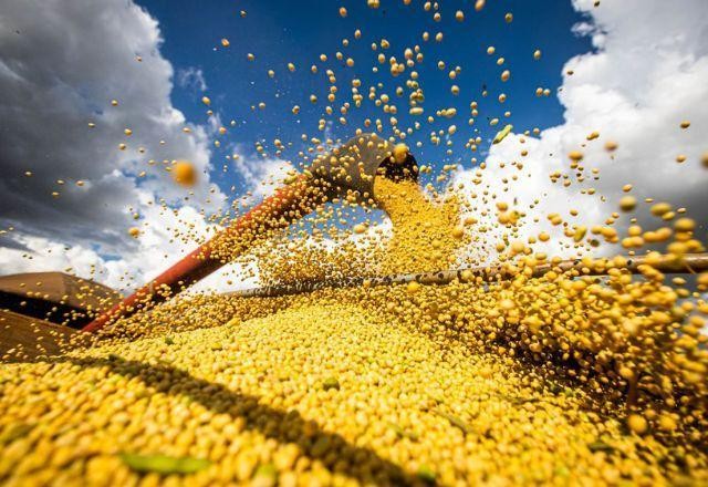 Imagem da noticia Produção de grãos deve atingir 308 milhões de toneladas, diz Conab