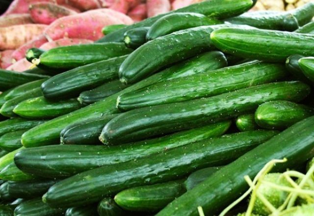 Imagem da noticia Pepino japonês é o destaque da semana para compras em atacados