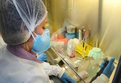 Pesquisadores da UnB desenvolvem medicamento contra fungos resistentes Pesquisadores da UnB desenvolvem medicamento contra fungos resistentes