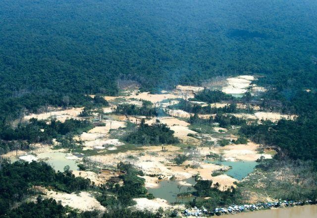 Imagem da noticia Entidades indígenas denunciam "tragédia humanitária" em Terra Yanomami