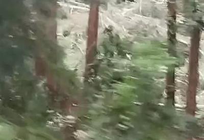 Vídeo: Tornado é registrado no oeste de Santa Catarina Vídeo: Tornado é registrado no oeste de Santa Catarina