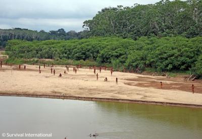 Vídeo mostra tribo isolada na Amazônia peruana perto de área de exploração madeireira Vídeo mostra tribo isolada na Amazônia peruana perto de área de exploração madeireira