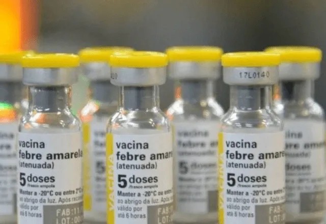 Imagem da noticia Febre amarela: novo tratamento contra doença pode reduzir risco de morte em até 84%