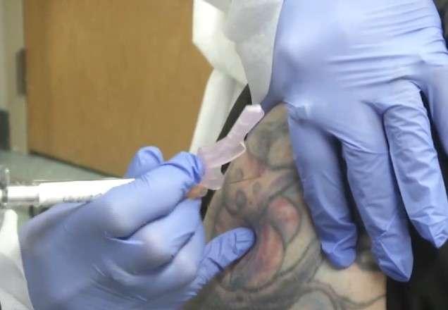 Vacina de Oxford contra Covid-19 previne pneumonia em macacos Vacina de Oxford contra Covid-19 previne pneumonia em macacos