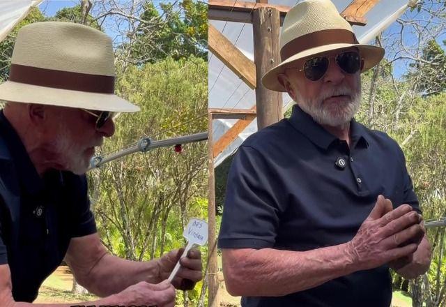 Lula planta uva no Alvorada e manda recado a Trump Lula planta uva no Alvorada e manda recado a Trump