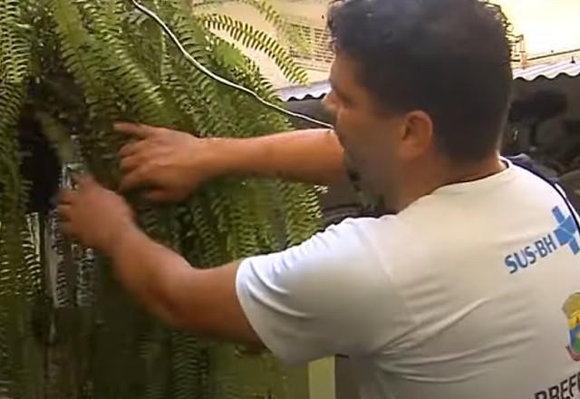 Imagem da noticia Surto de dengue em Minas Gerais mata quatro pessoas