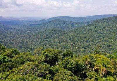 SBT lança série especial sobre a importância da Amazônia na vida dos brasileiros SBT lança série especial sobre a importância da Amazônia na vida dos brasileiros