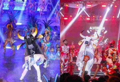 Festival de Parintins: embate de cores já agita comércio em Manaus Festival de Parintins: embate de cores já agita comércio em Manaus