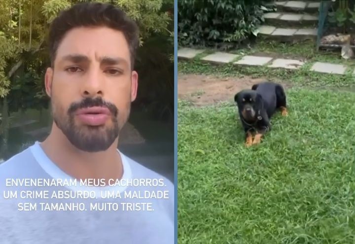 Imagem da noticia Após morte de cachorro de Cauã Reymond, polícia investiga outros envenenamentos