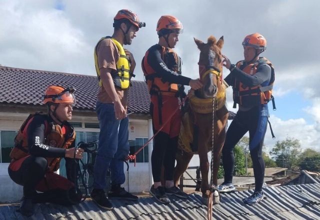 Imagem da noticia Resgate do cavalo “Caramelo” no RS repercute na imprensa internacional
