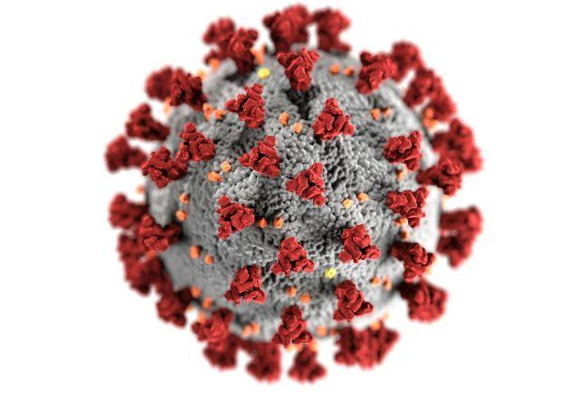 Pesquisa identifica gene que ajuda a bloquear infecções virais ao analisar casais durante pandemia Pesquisa identifica gene que ajuda a bloquear infecções virais ao analisar casais durante pandemia