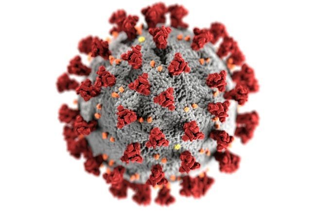 Imagem da noticia Pesquisa identifica gene que ajuda a bloquear infecções virais ao analisar casais durante pandemia