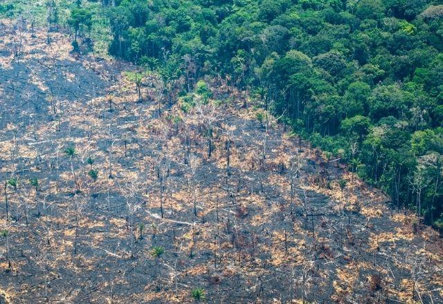Com 20 km², degradação da Amazônia registra pior marca em 15 anos Com 20 km², degradação da Amazônia registra pior marca em 15 anos