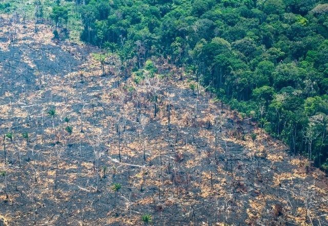 Imagem da noticia Com 20 km², degradação da Amazônia registra pior marca em 15 anos