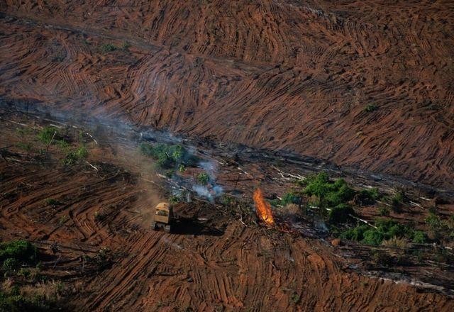 Imagem da noticia Desmatamento no Cerrado em setembro bate recorde; na Amazônia, queda é de 59%