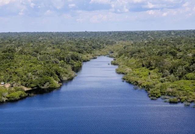 Imagem da noticia Brasil registra queda de 12% nas emissões de gases do efeito estufa