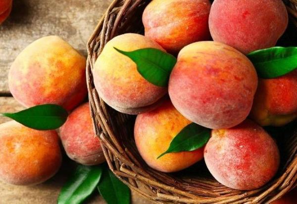 Imagem da notícia: O fruto que evoca memórias da infância