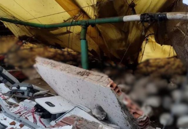 Imagem da noticia Vídeo: microexplosão em aviário de SC mata 14 mil aves