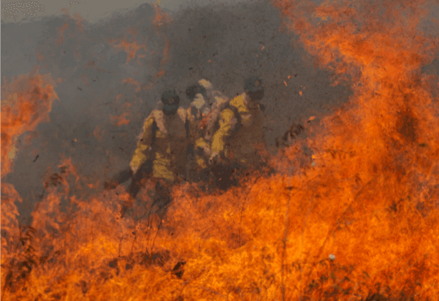 Imagem da noticia Desmatamento no Cerrado emite 135 Mi de toneladas de CO₂ em 18 meses