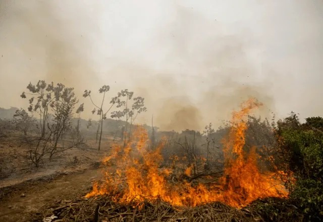Imagem da noticia Incêndios no Pantanal: Mato Grosso do Sul decreta situação de emergência