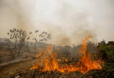 Incêndios no Pantanal: Mato Grosso do Sul decreta situação de emergência Incêndios no Pantanal: Mato Grosso do Sul decreta situação de emergência