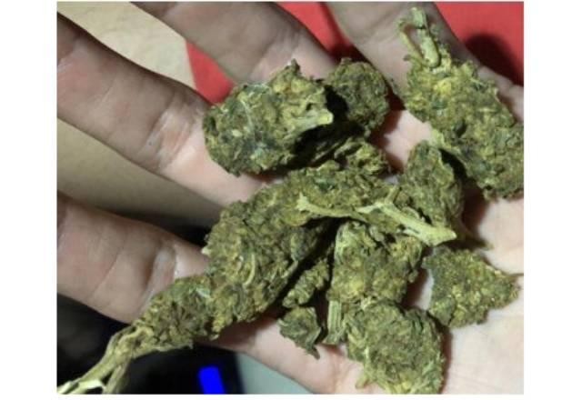 Imagem da noticia Venda de maconha pela internet na mira da Polícia Federal em 3 estados
