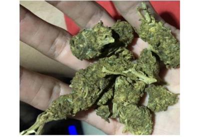 Venda de maconha pela internet na mira da Polícia Federal em 3 estados Venda de maconha pela internet na mira da Polícia Federal em 3 estados