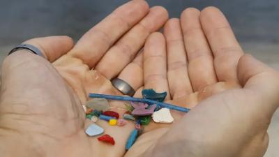 Cientistas encontram presença de microplásticos em testículos humanos Cientistas encontram presença de microplásticos em testículos humanos