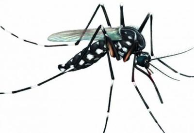 Alerta vermelho: Brasil tem mais de 970 mil casos de dengue Alerta vermelho: Brasil tem mais de 970 mil casos de dengue