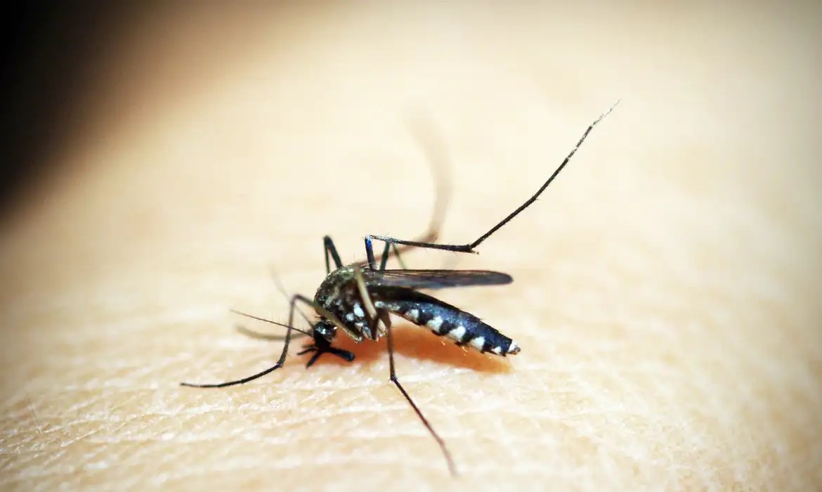 Imagem da noticia Ministério da Saúde amplia vacinação da dengue para mais 154 cidades