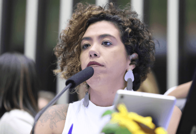 Imagem da noticia Deputada Talíria Petrone diz que Justiça para Marielle é para "fechar uma fratura na democracia"