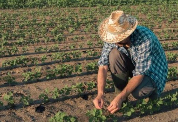 Imagem da notícia: A função social do produtor rural