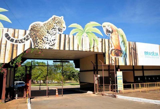 Zoológico de Brasília é fechado após suspeita de animais mortos por gripe aviária Zoológico de Brasília é fechado após suspeita de animais mortos por gripe aviária